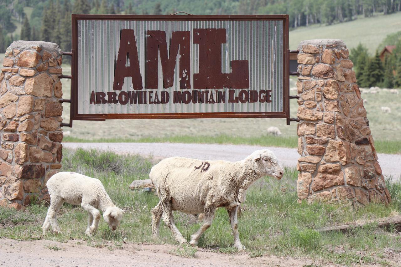 Arrowhead Mountain Lodge Cimarron Buitenkant foto